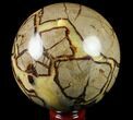 Polished Septarian Sphere - lbs #79332-1